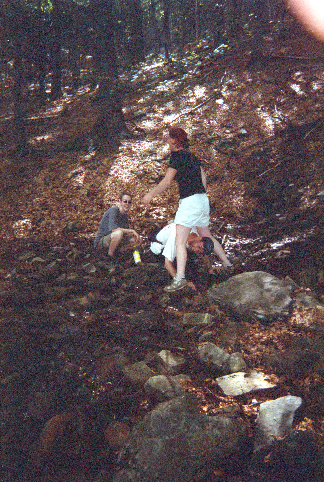 26