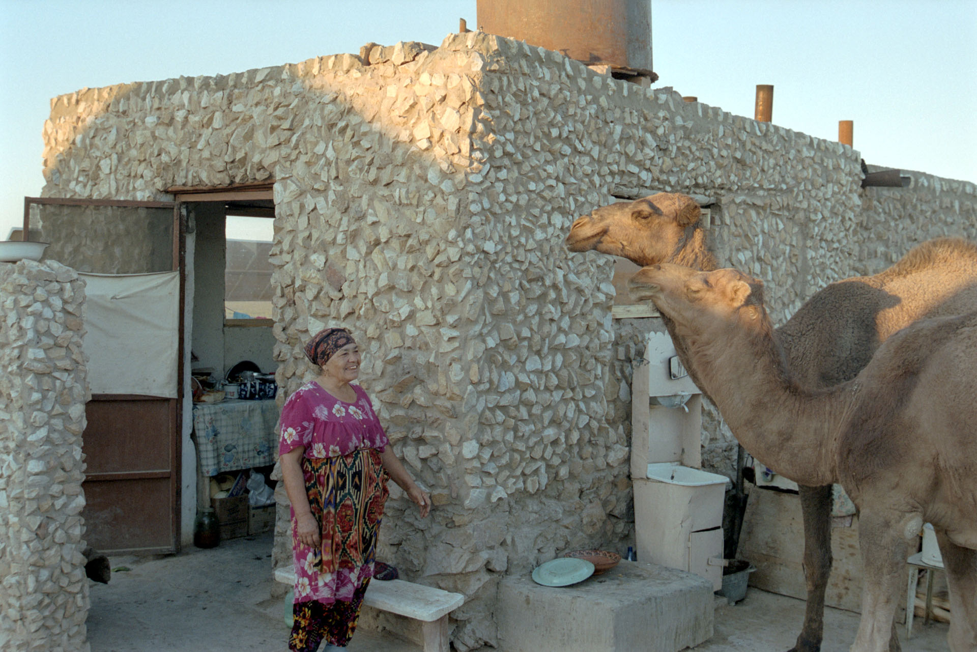31