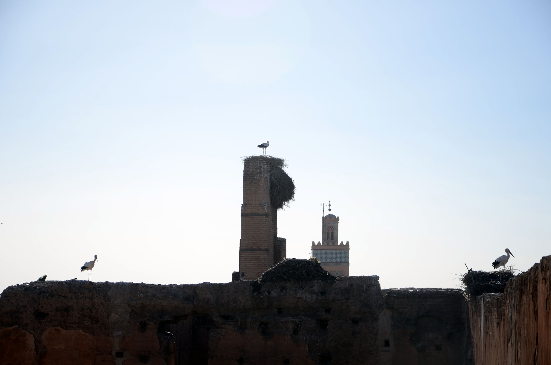 El Badi Palace