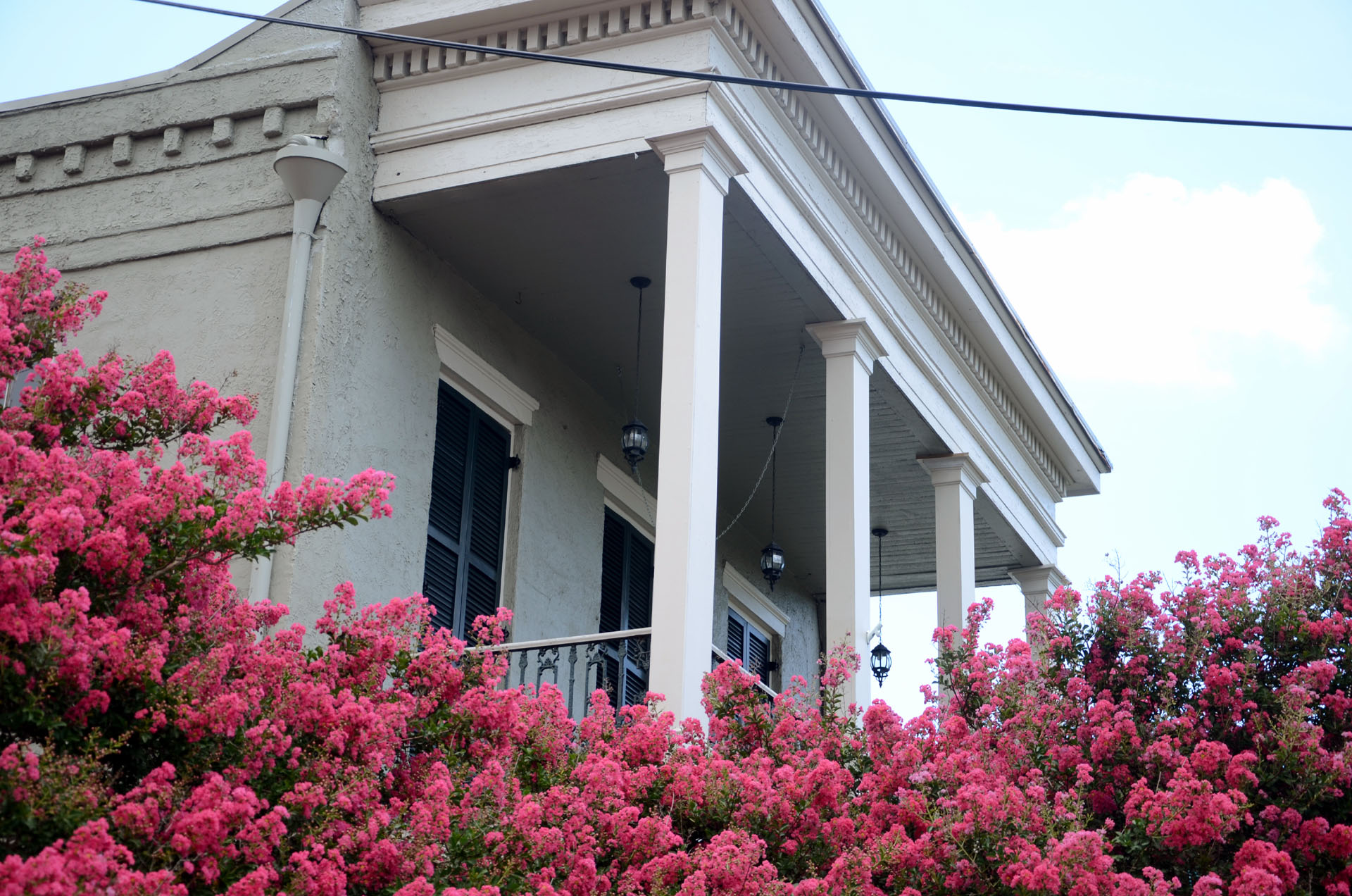 Garden District