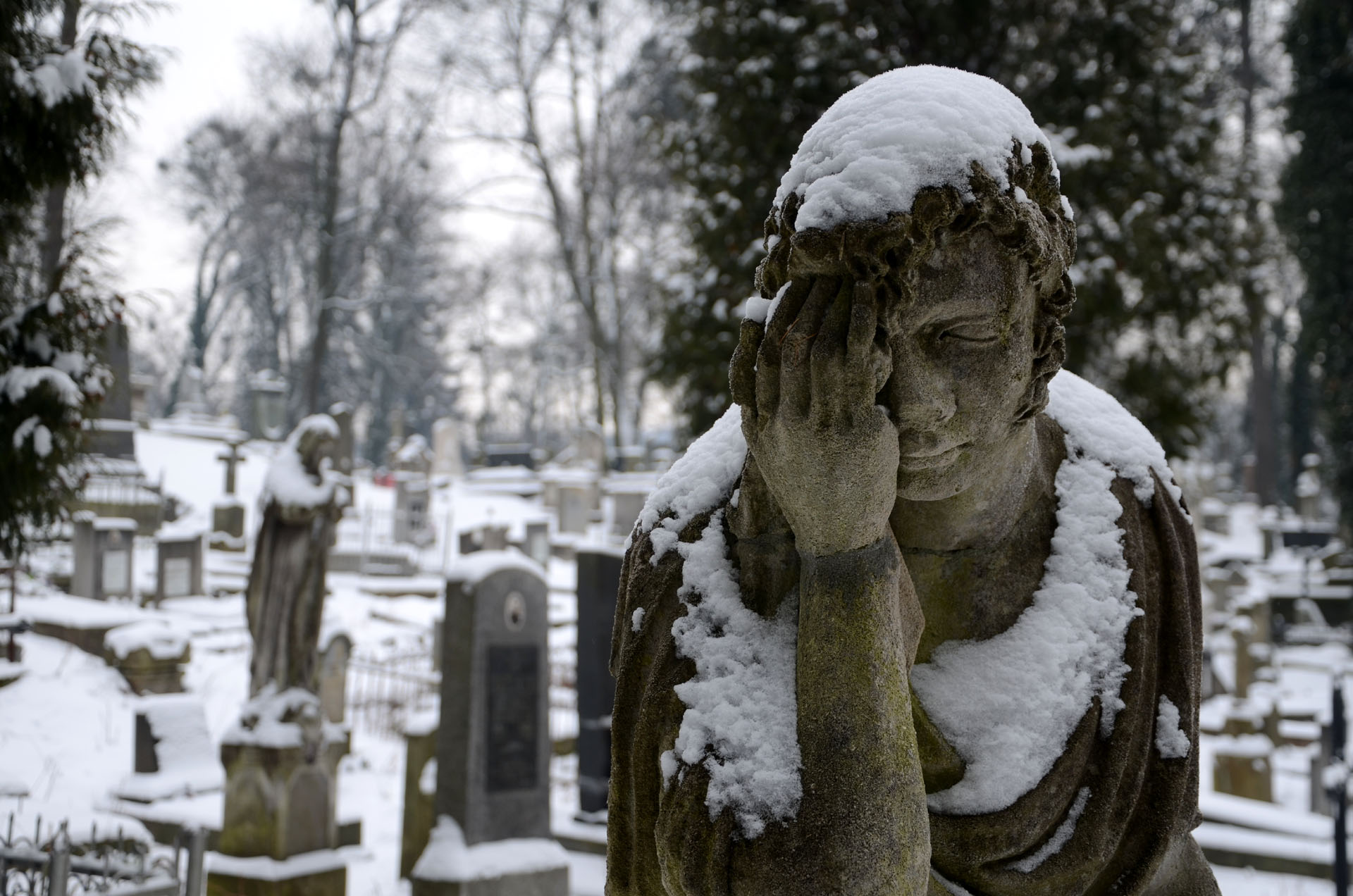 Lychakiv Cemetery