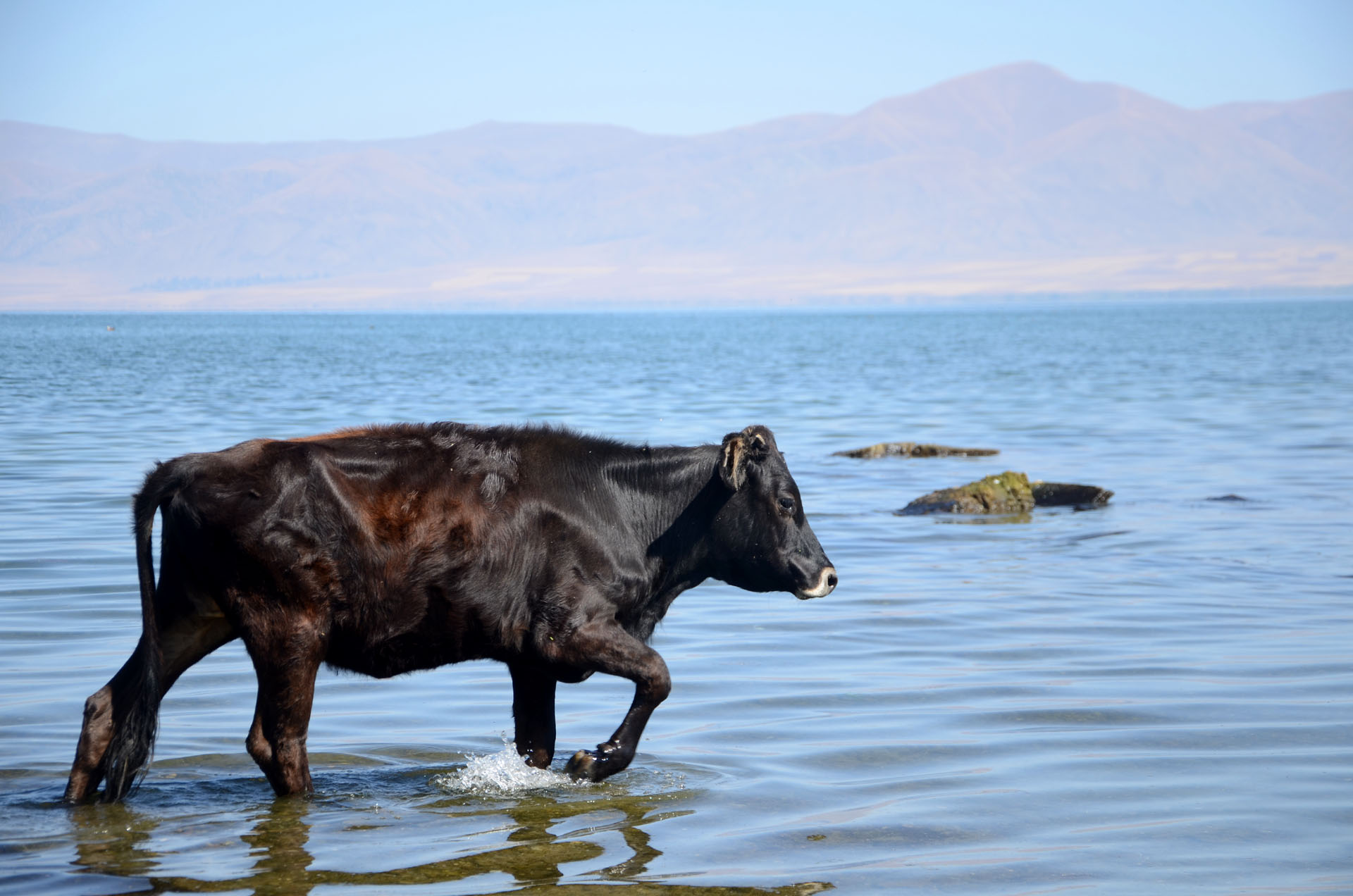Lake Sevan