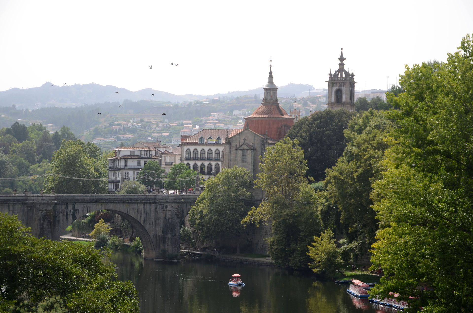 24