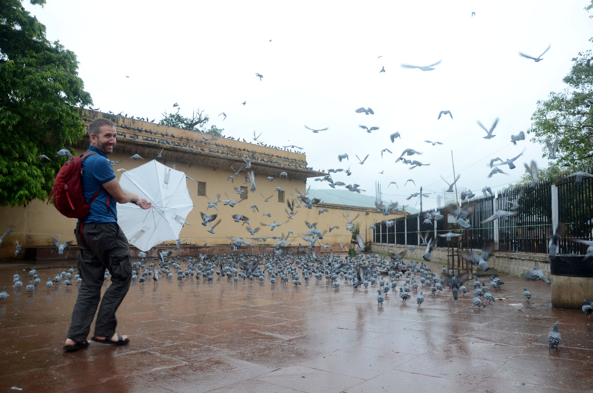 Amer Fort