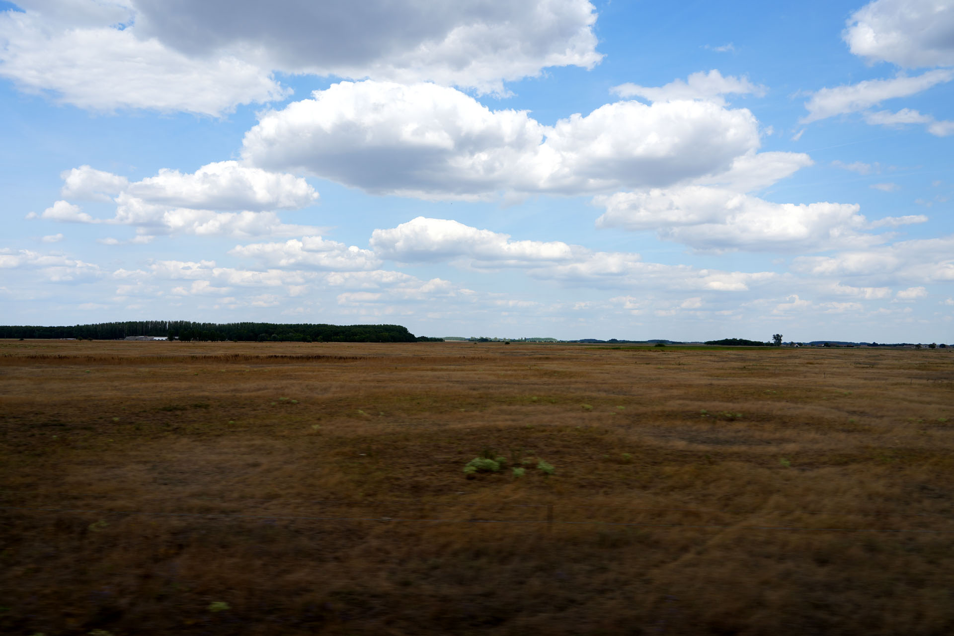 Puszta