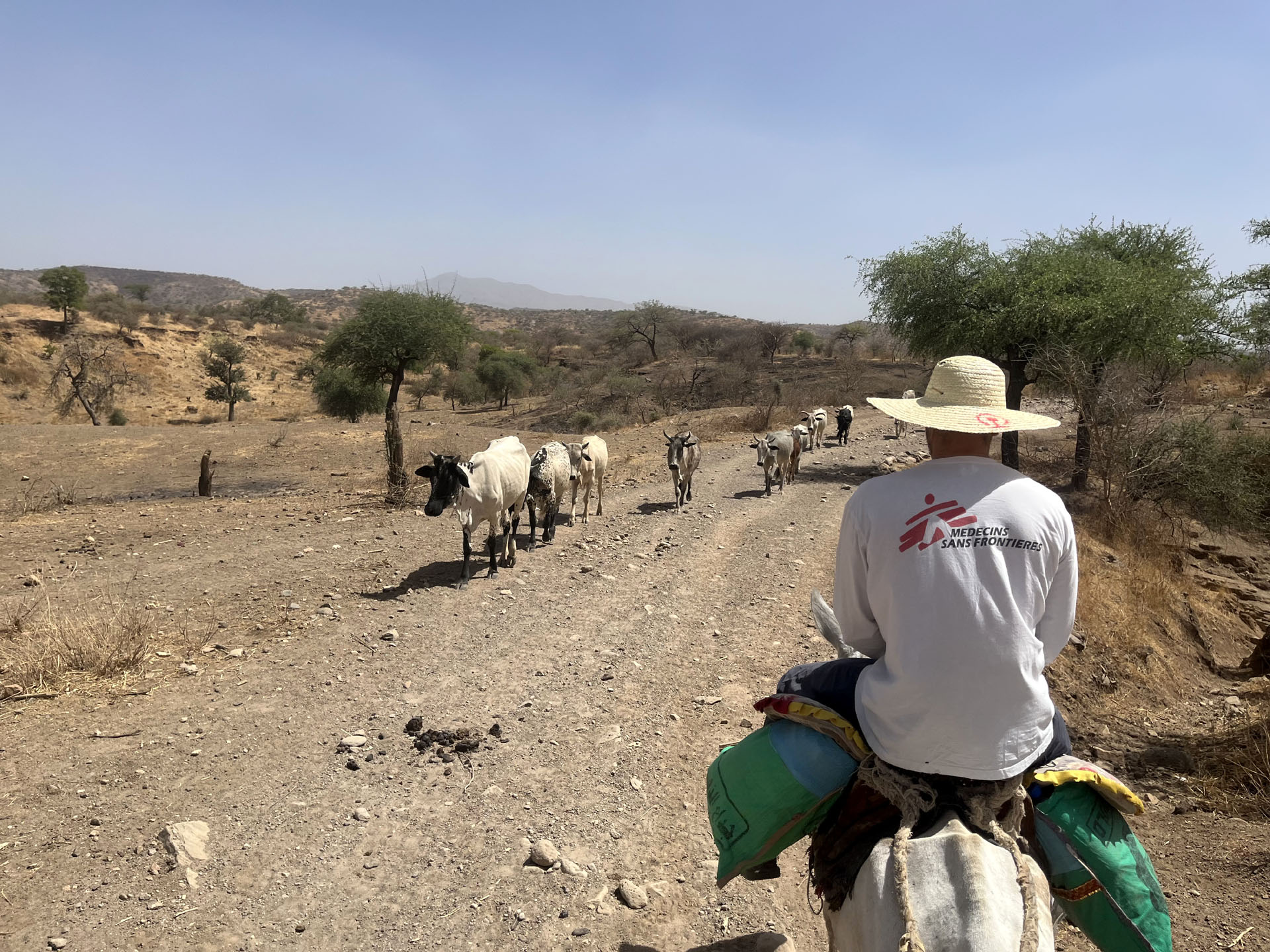 Darfur