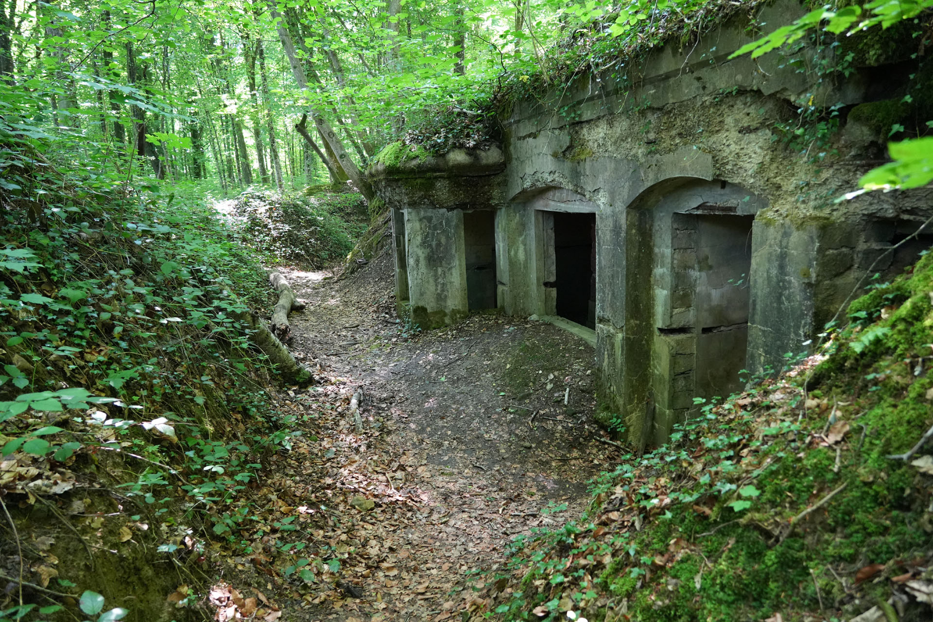 Abri du Kronprinz